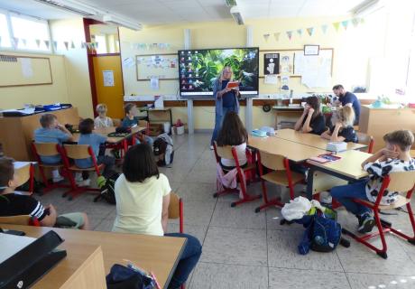 Bild vom Klassenzimmer